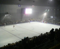 2008年11月16日
