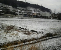 2009年03月25日