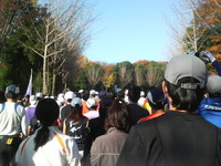 2010年11月28日