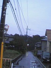 明日臨時休業致します