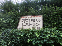 横田基地近くの「木を植えるレストランオーロラ」(*^O^*)♪