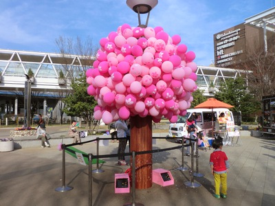 風船の桜