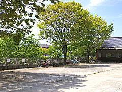 反町の森公園