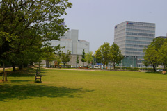 大清水公園