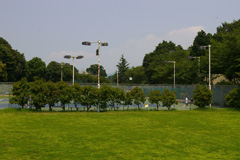 さくら運動公園