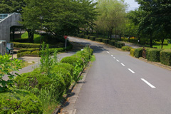 さくら運動公園