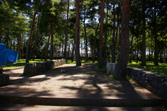どんぐり公園