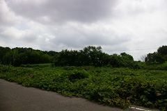 仲島緑地公園