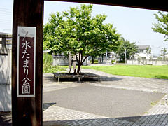 水たまり公園