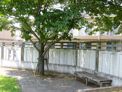 水たまり公園