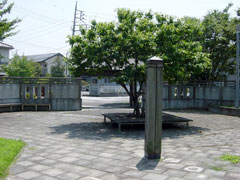 水たまり公園