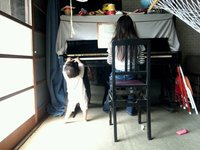 2011年10月09日
