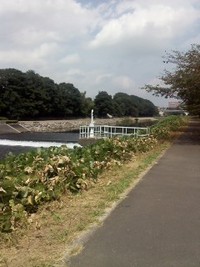 健康なら