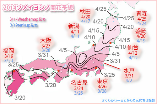 2014サクラ前線…3/20発表ソメイヨシノ開花予想