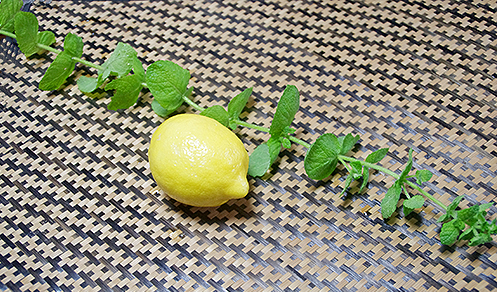 Lemon Mojito (レモンのモヒート)