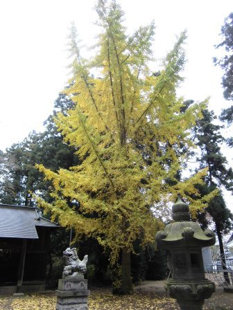 下平塚の鹿島神社にも古い道標があった！