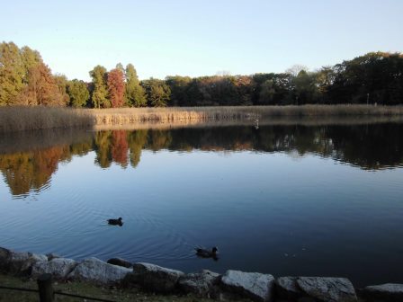 秋の夕方の洞峰公園！