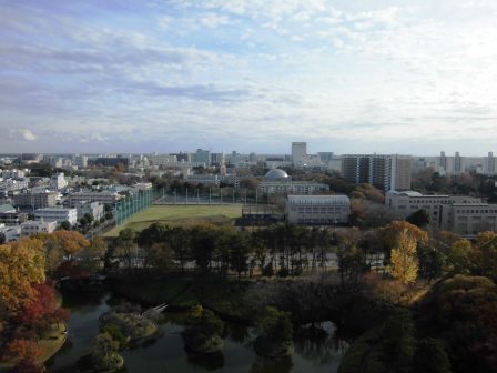松見公園展望塔から紅葉を眺める！
