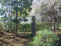 句碑その４ 2017/12/14 09:59:50
