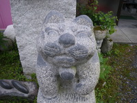 うちの猫 2014/08/09 17:02:17
