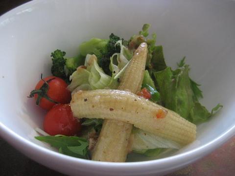 イタリアンレストラン　バックヤードカフェ　【つくばグルメ】