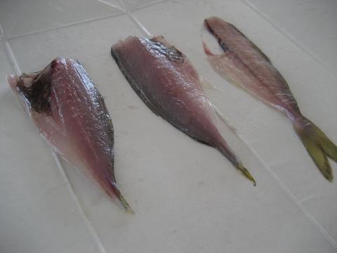 アジフライ祭り　【釣りバカ】