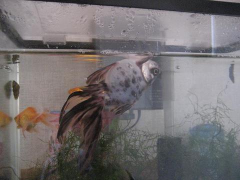 大丈夫ですか？