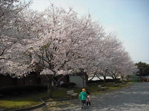 桜前線つくば　～最終回～