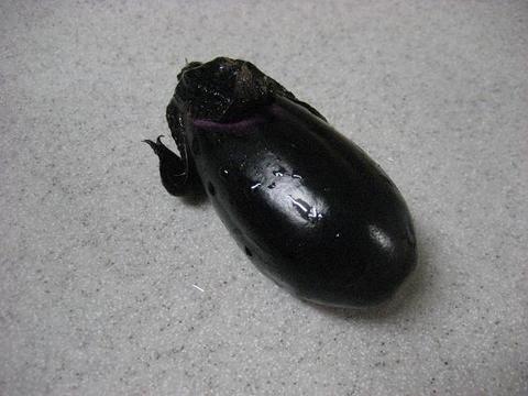 ナス収穫　6月15日　家庭菜園2009