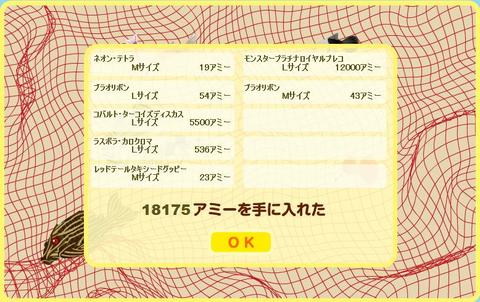 ネットで地引き網　8月25日