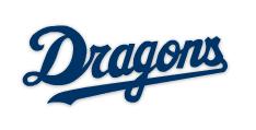 プロ野球観戦　巨人 vs 中日　東京ドーム