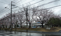 2011年04月10日