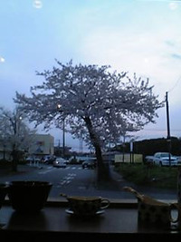 2011年04月11日