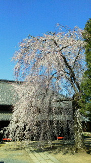 2011年04月07日