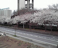 2011年04月11日