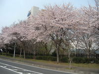 2011年04月11日