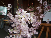 2011年04月12日