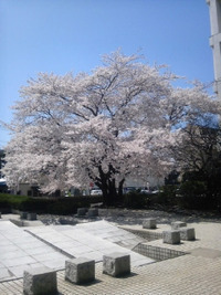 2011年04月12日