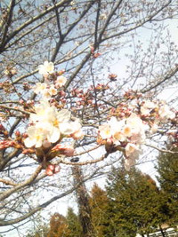 2011年04月13日