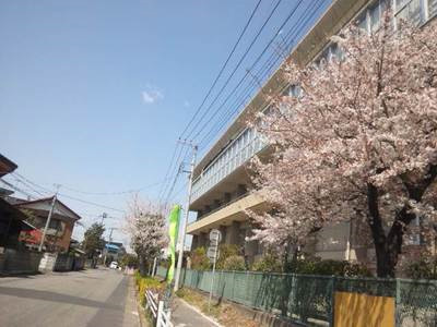 桜も咲いてきましたね＠「青山大人公式ブログ」