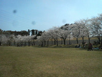 2011年04月13日