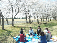 2011年04月13日