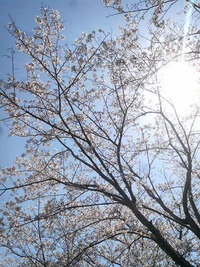 2011年04月13日