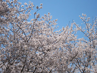 2011年04月13日