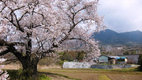 2011年04月13日