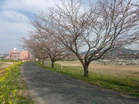 2011年04月09日