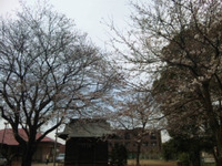 2011年04月07日
