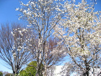 2011年04月08日