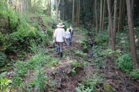竹林に行ってきました