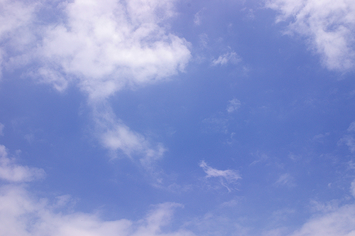 今日のつくばはいい天気！